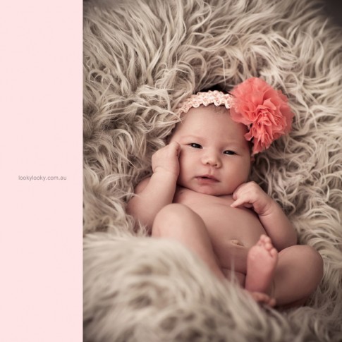 Best baby photography sydney in Looky Looky