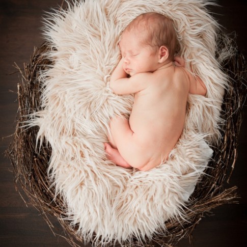 Buy newborn photo shoot sydney